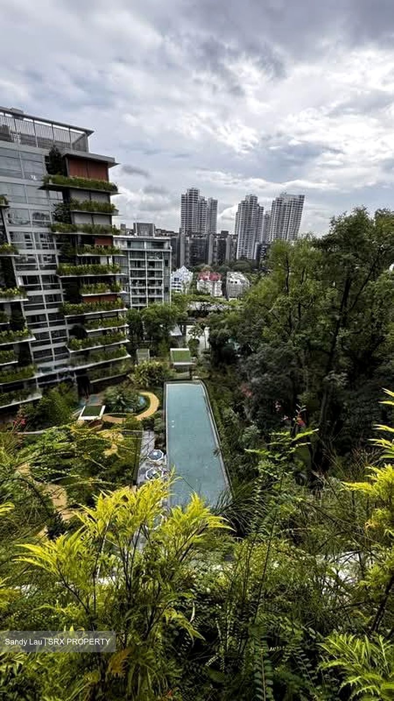 15 Holland Hill (D10), Apartment #556114921